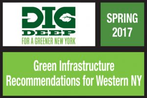 green infrastructure recommendations for western ny publication environment